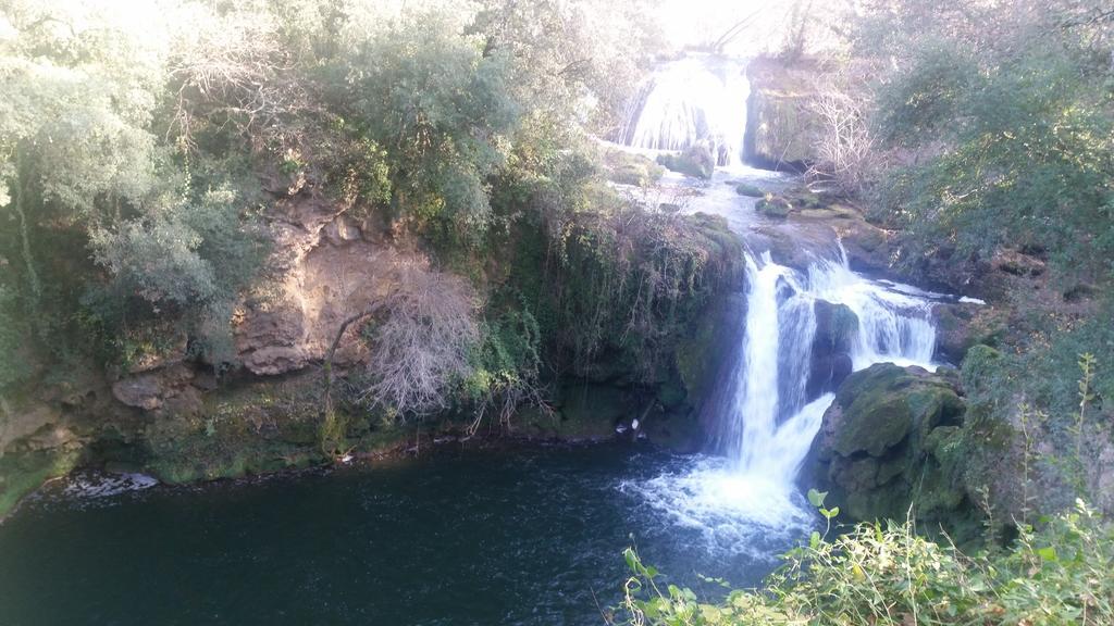 Un Petit Coin De Paradis Taradeau Стая снимка